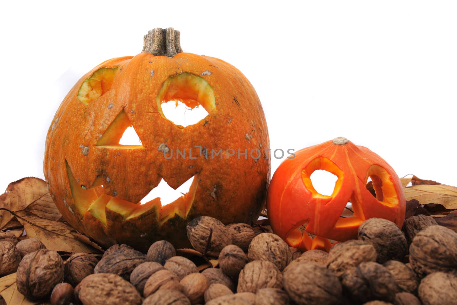 halloween pumpkin as very nice holiday background