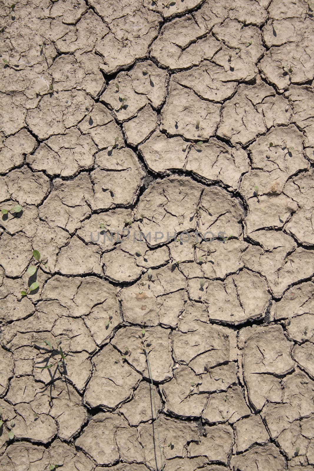 very dry land as nice natural background