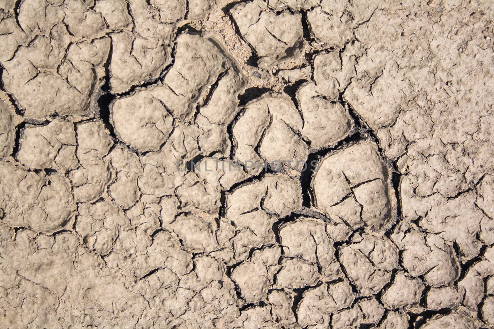 very dry land as nice natural background