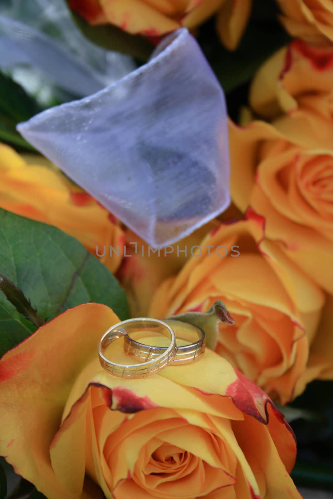 very nice rings as easy wedding background