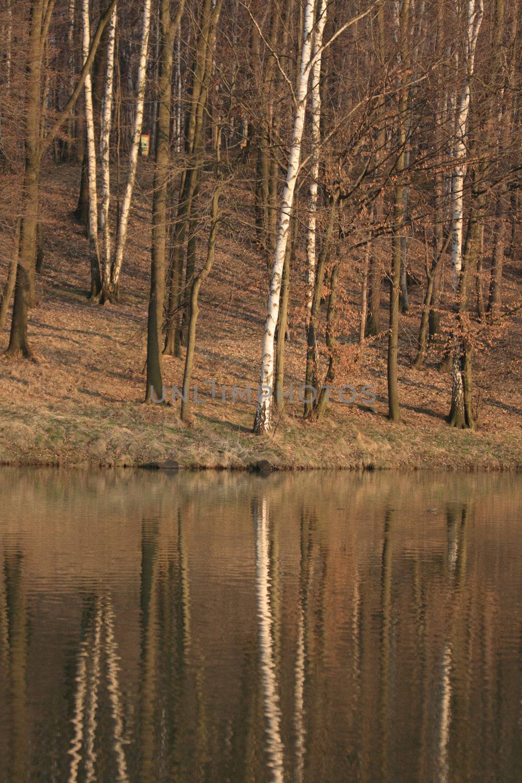 autumnal country and the lake in Ostrava 