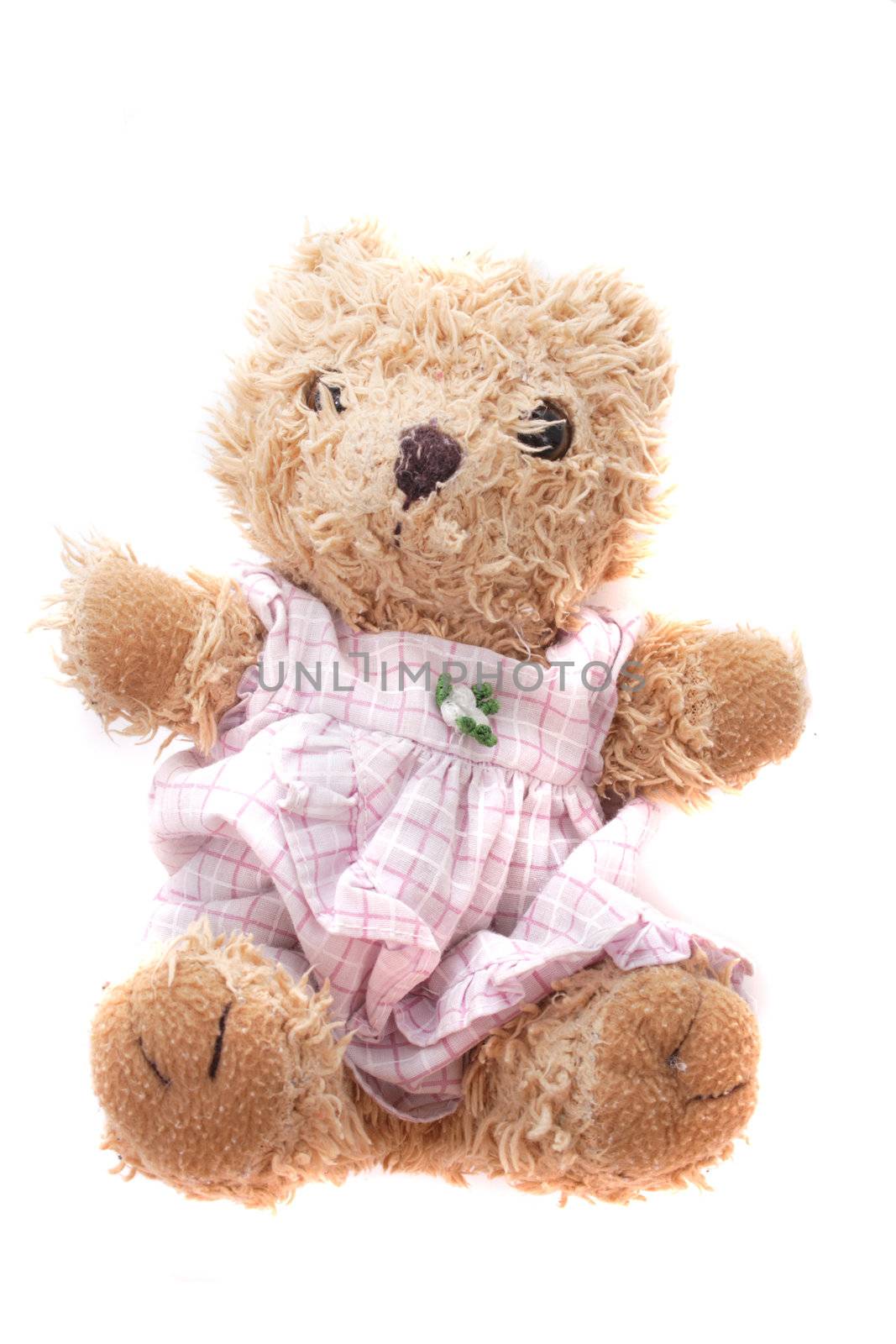 nice toy bear isolated on the white background