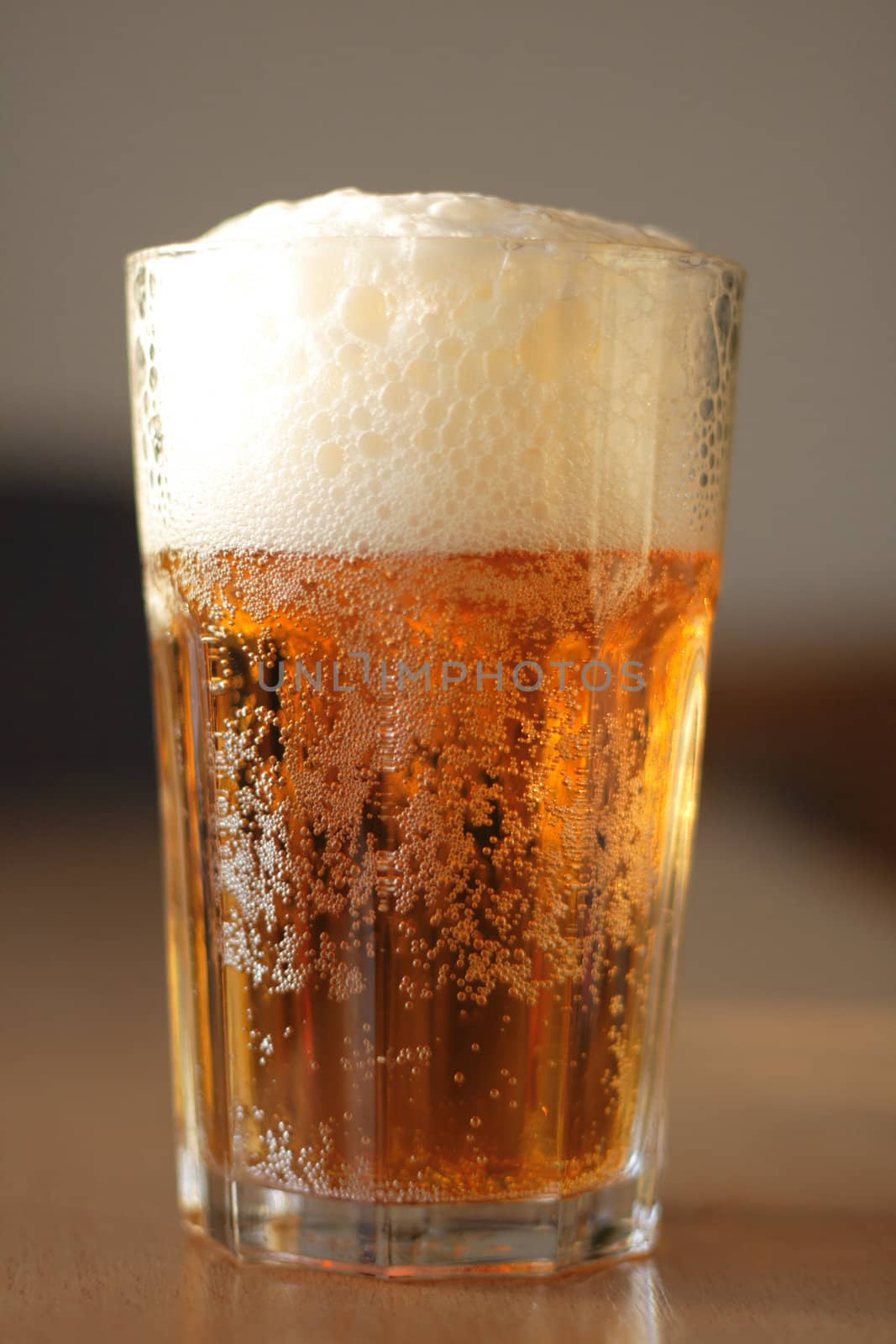 beer in the glass as very nice drink background