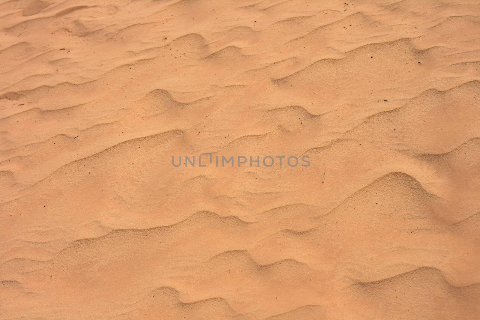 sand background from dry sahara in the Tunisia 