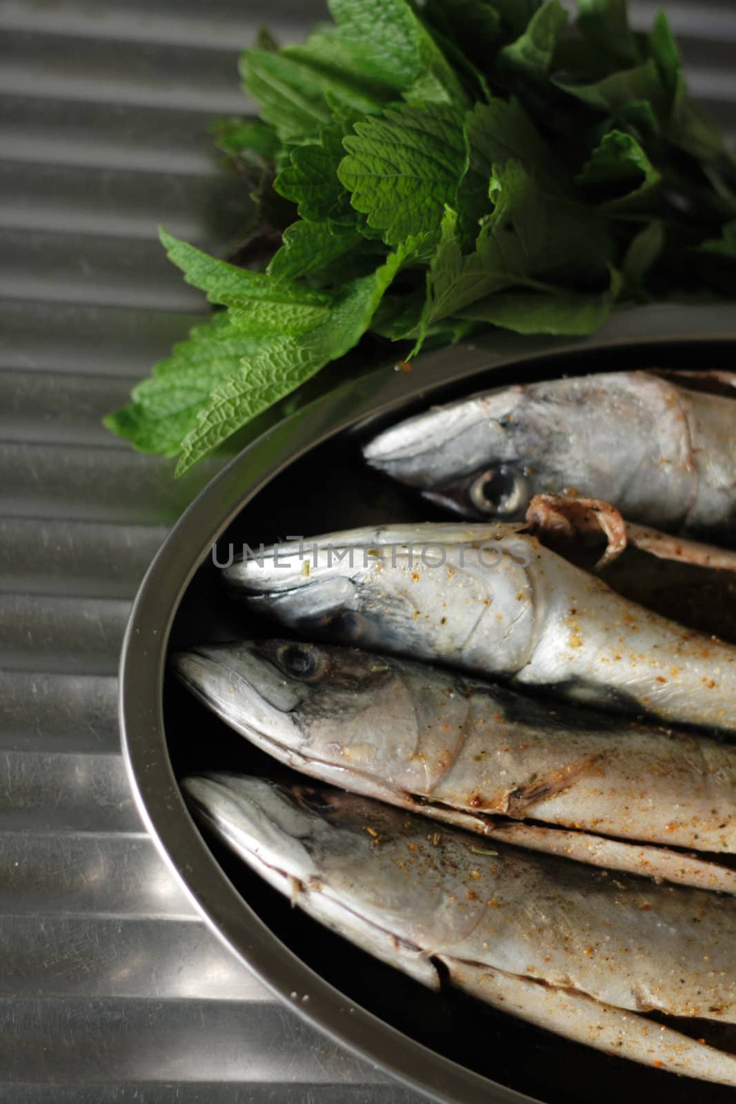 macrela fishes are being prepared for grill