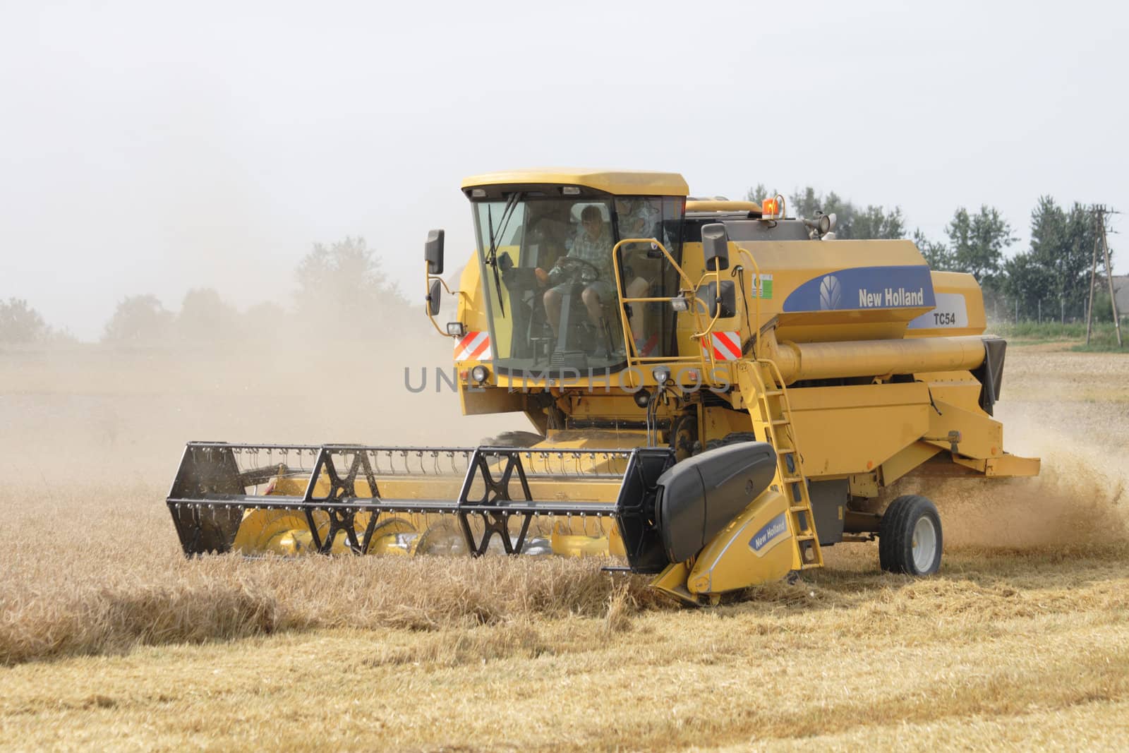 harvester in the corn field in the czech republic