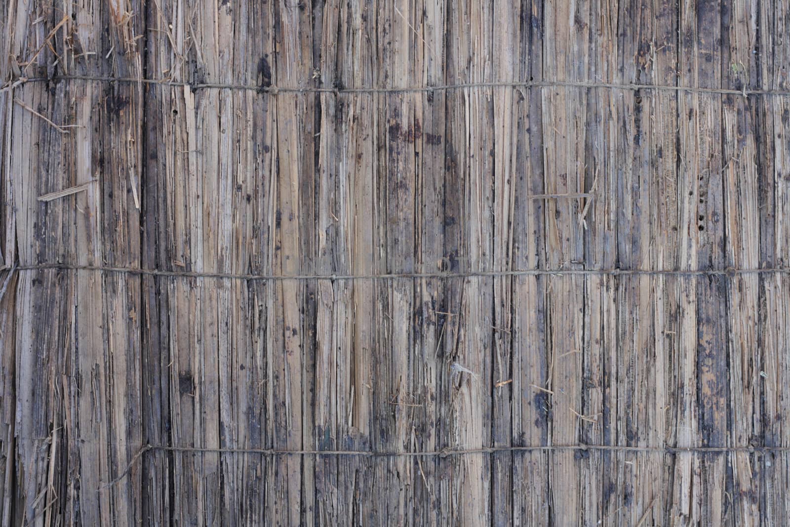 very nice bamboo texture as natural background