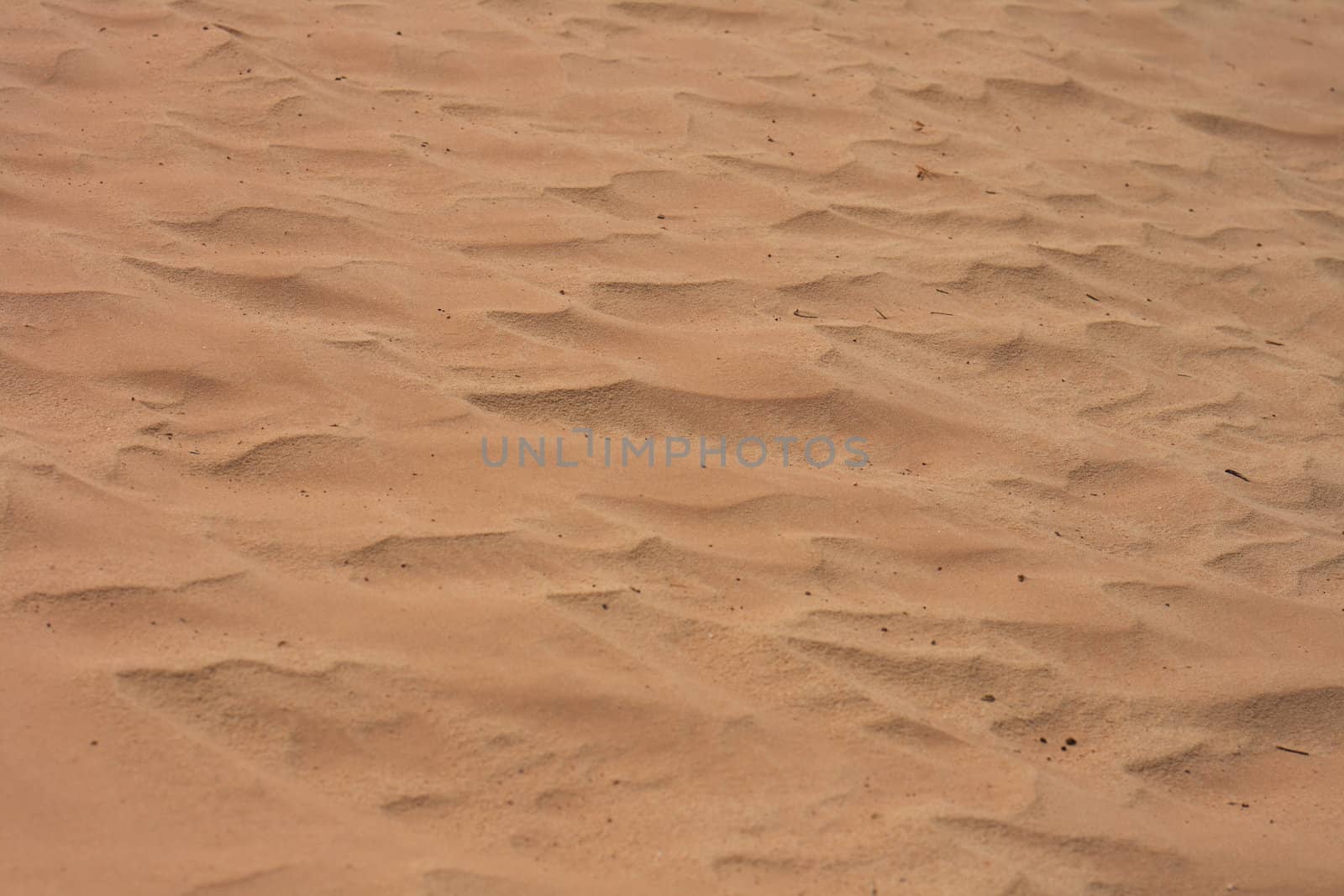 sand background from dry sahara in the Tunisia 
