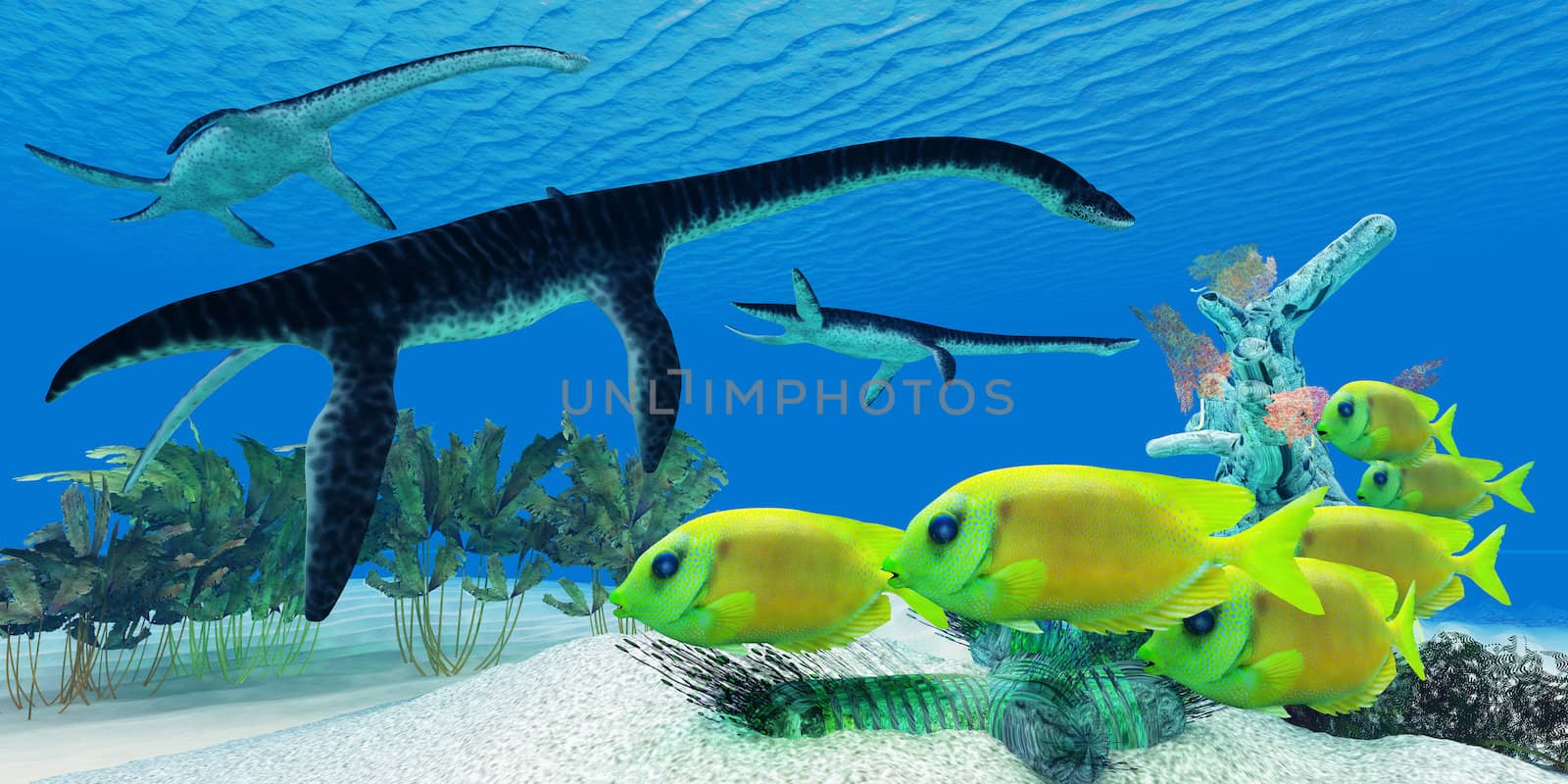 Plesiosaurus Coral reef by Catmando