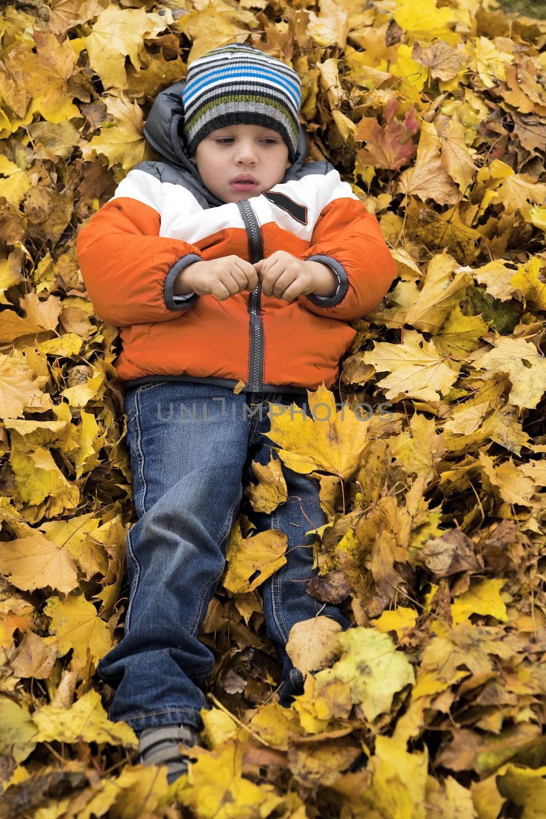 warm dressed boy lying in the yellow autumn leaves by Serp