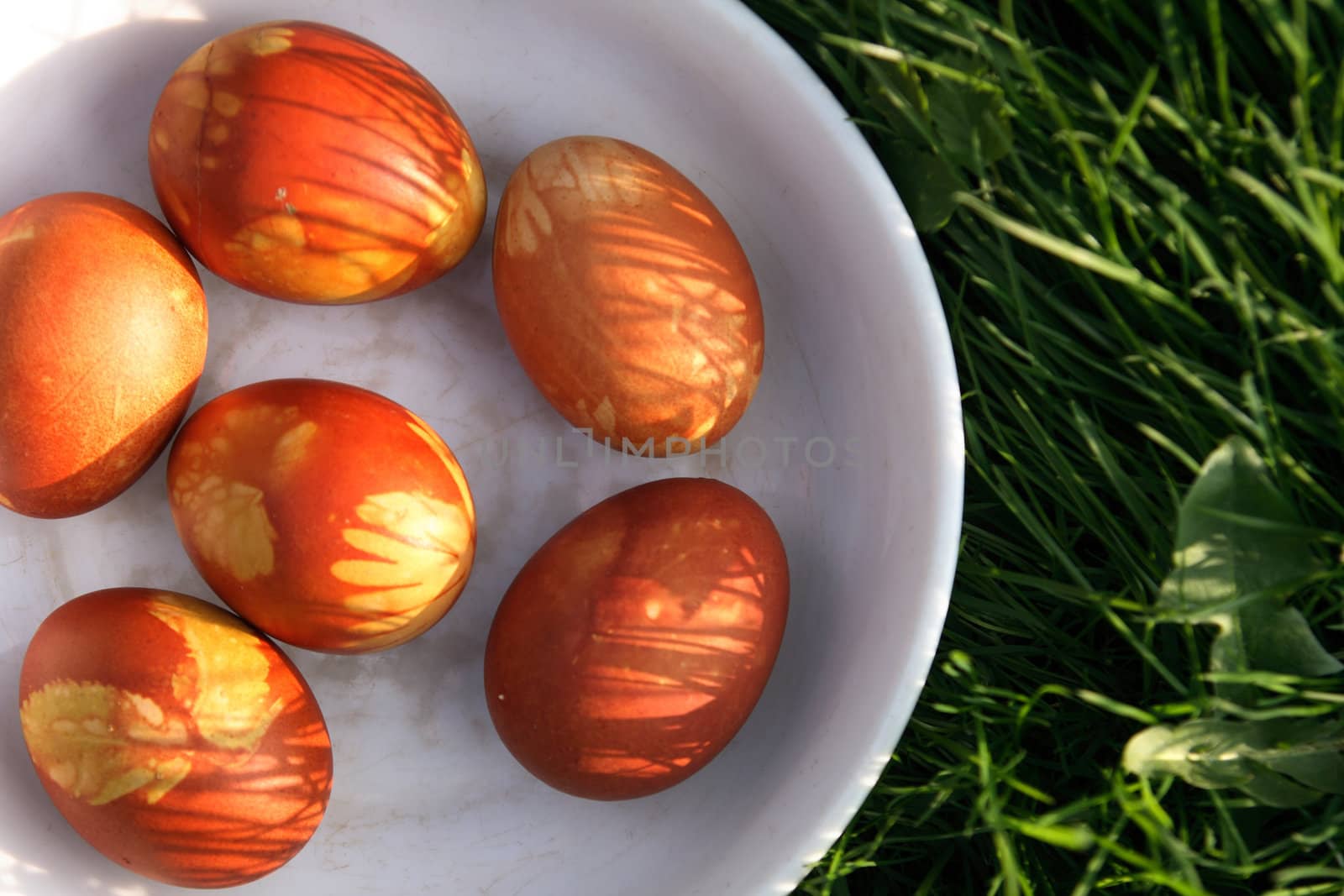 colored easter eggs in the green grass