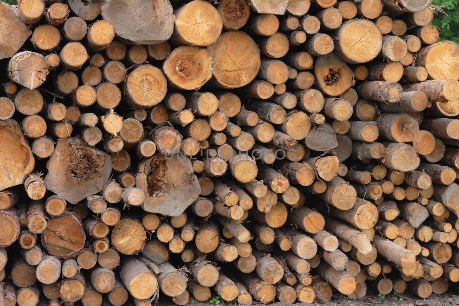 wood texture as very nice natural background