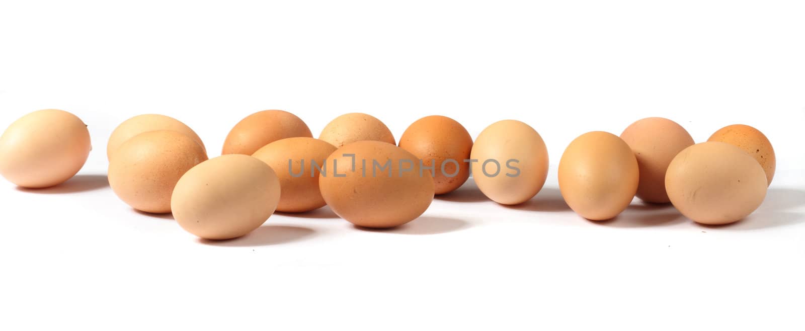 brown eggs isolated on the white background