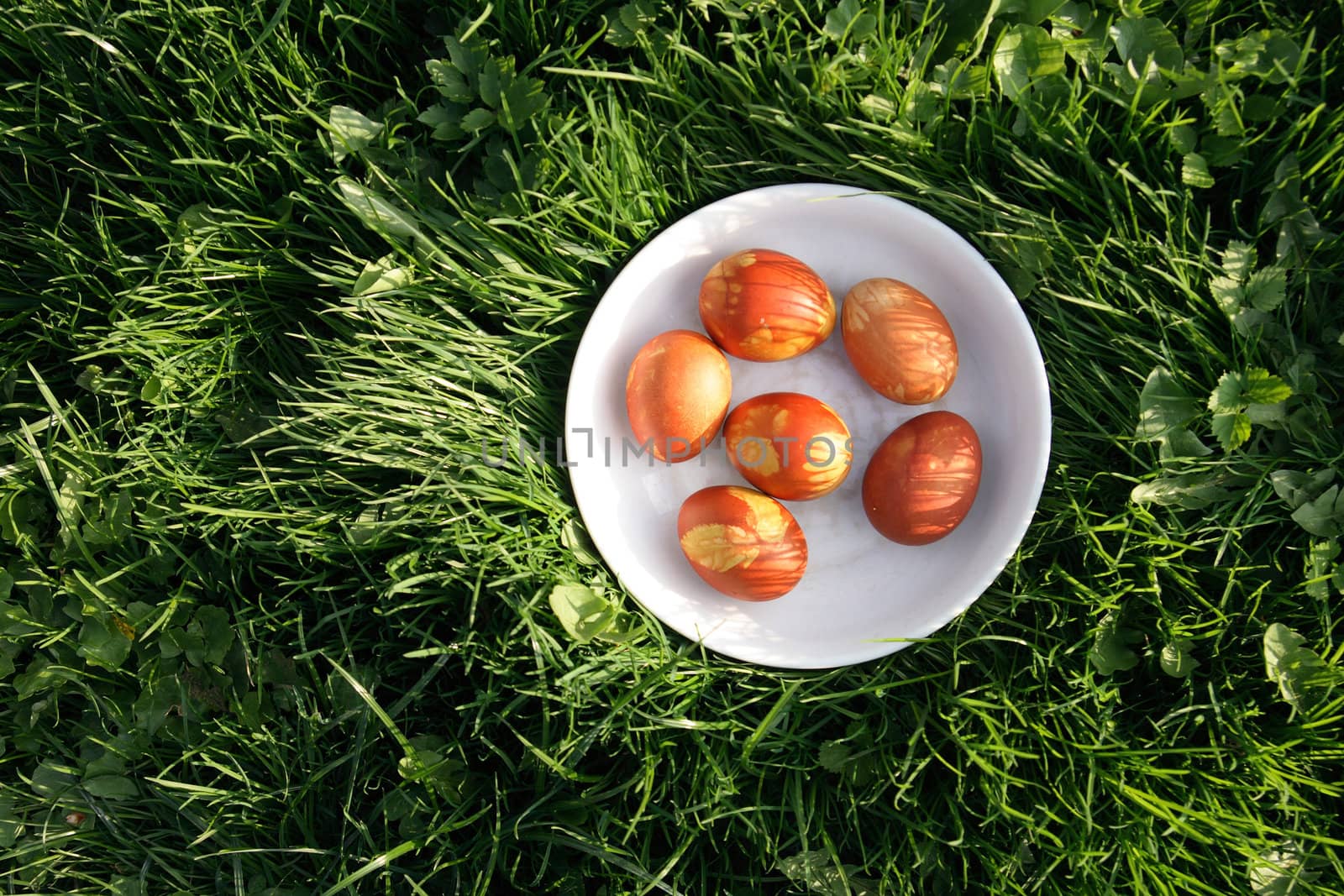 colored easter eggs in the green grass