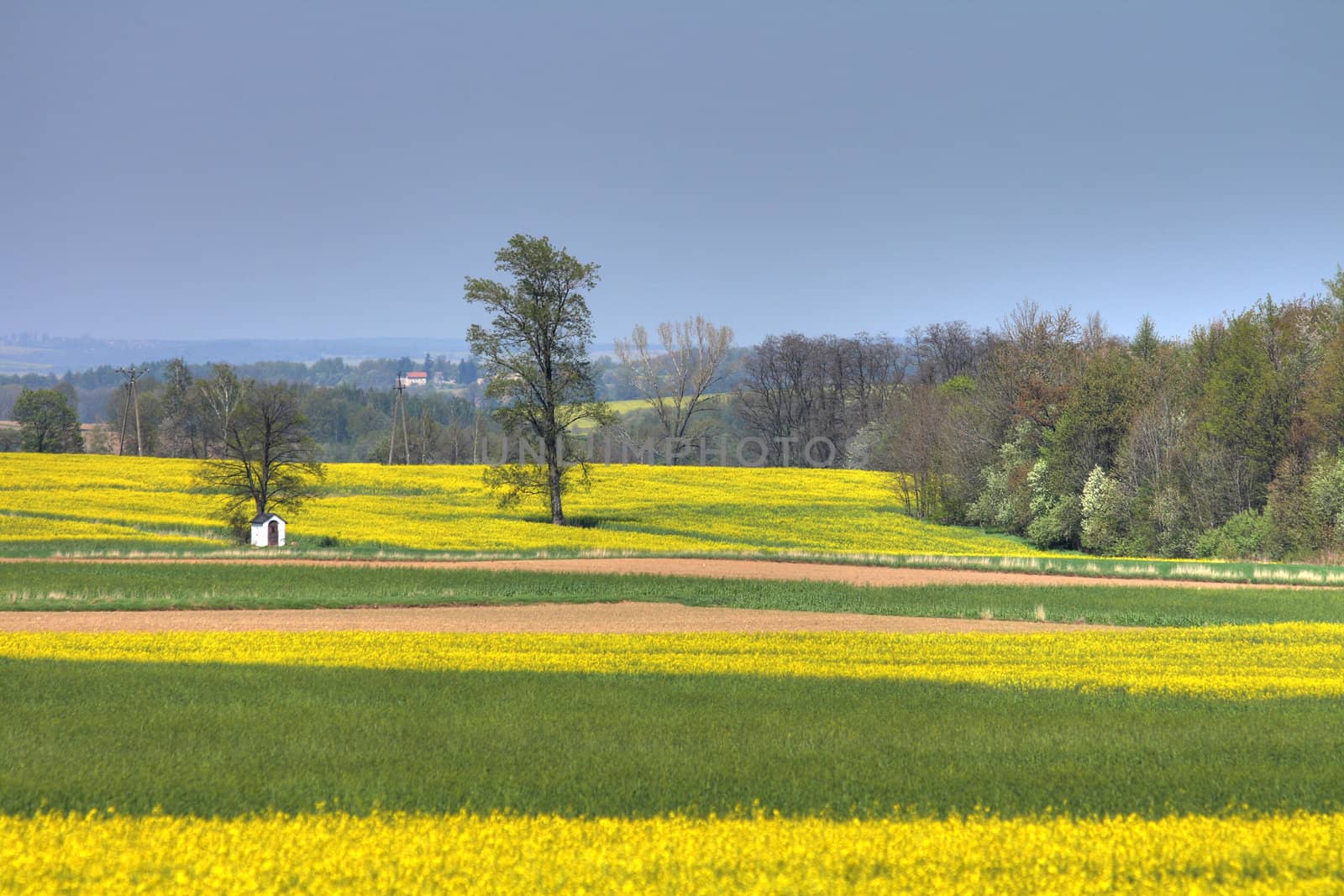 spring agricultural country in the czech republic