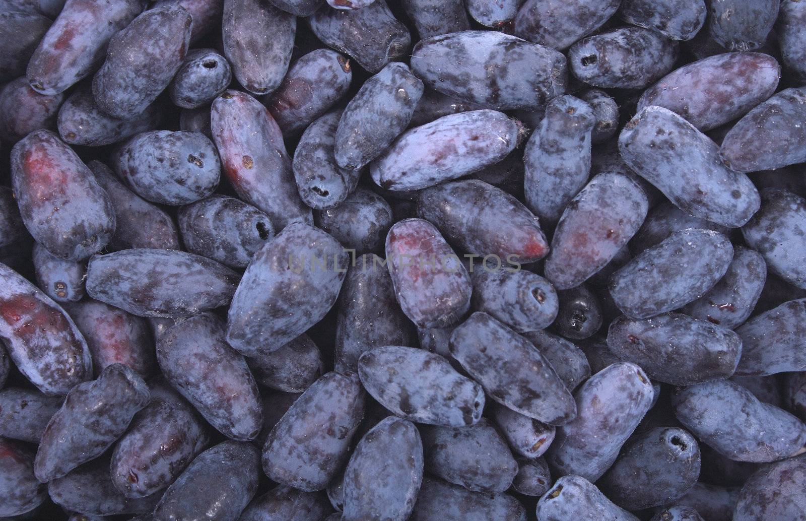 exotic blueberries texture as very nice food background