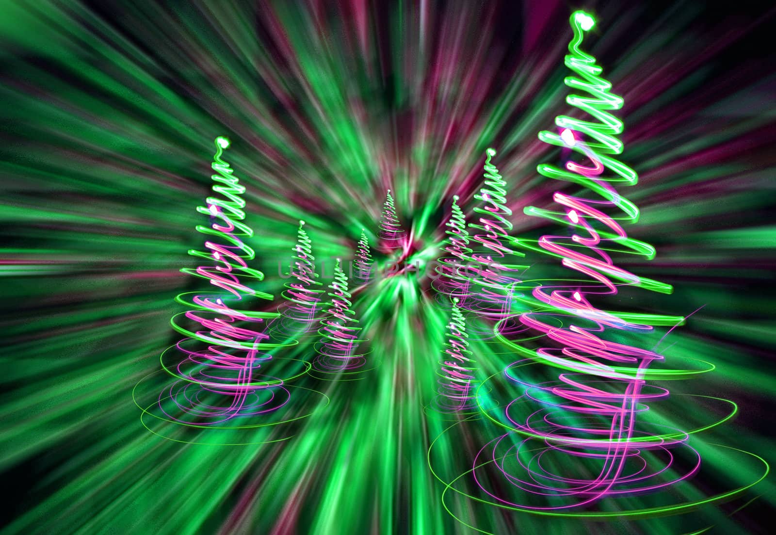 xmas forest (lights) on the black background