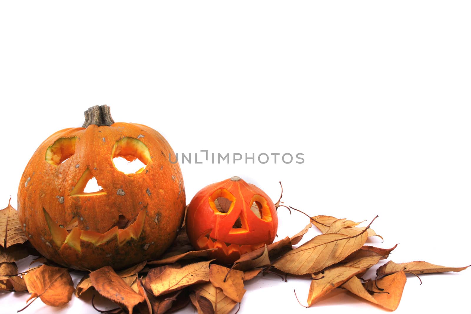 halloween pumkins isolated on the white background