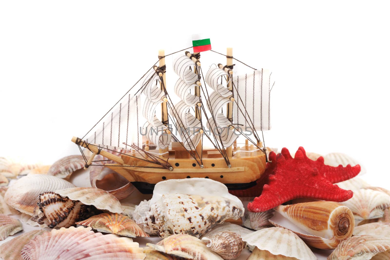 sea shells and boat isolated on the white background
