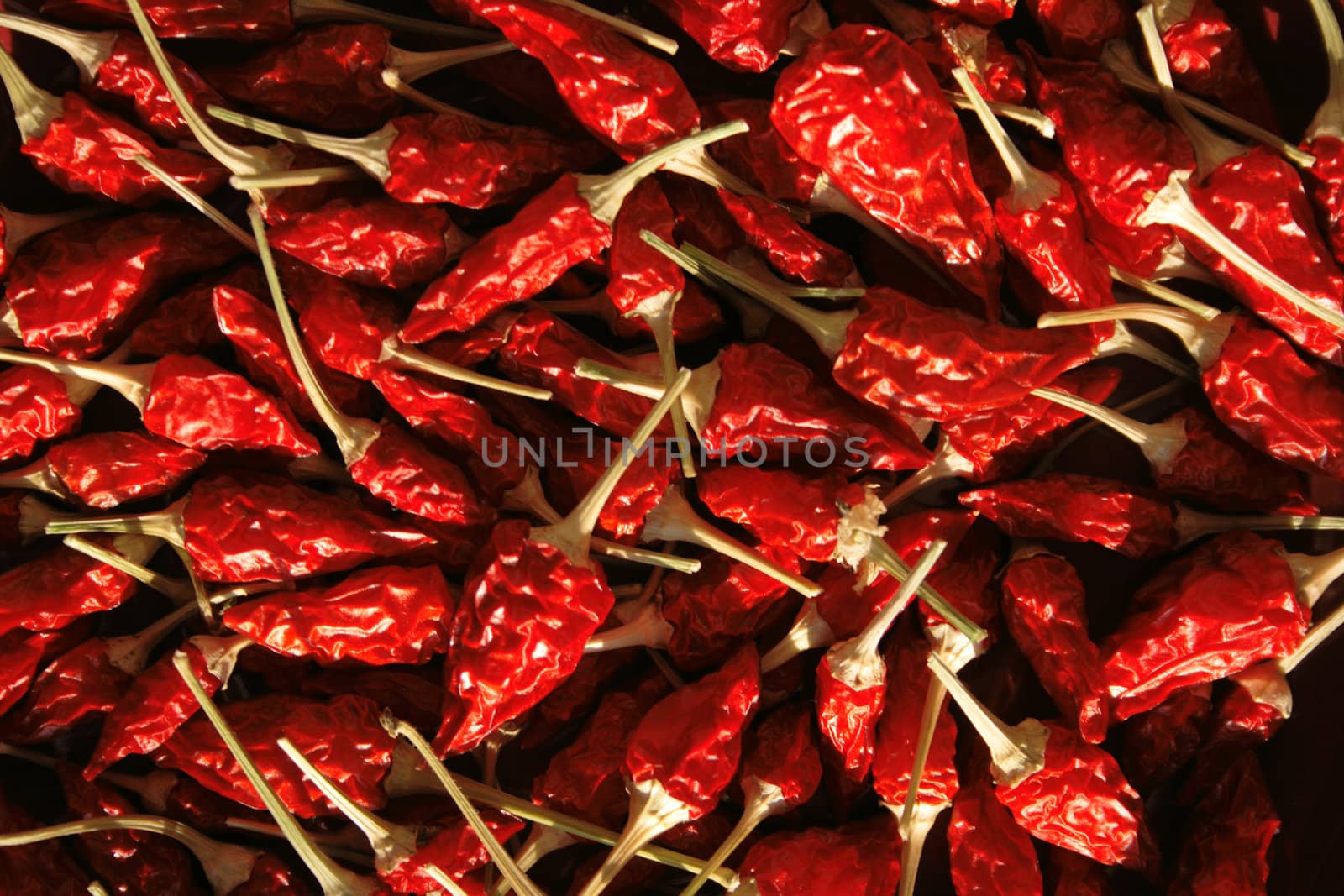 hot chili as nice red spice background