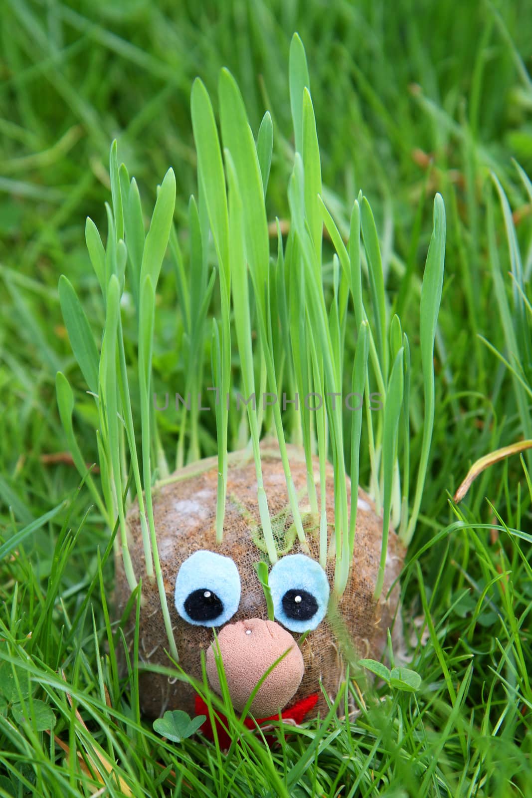 home made spring face with grass hair