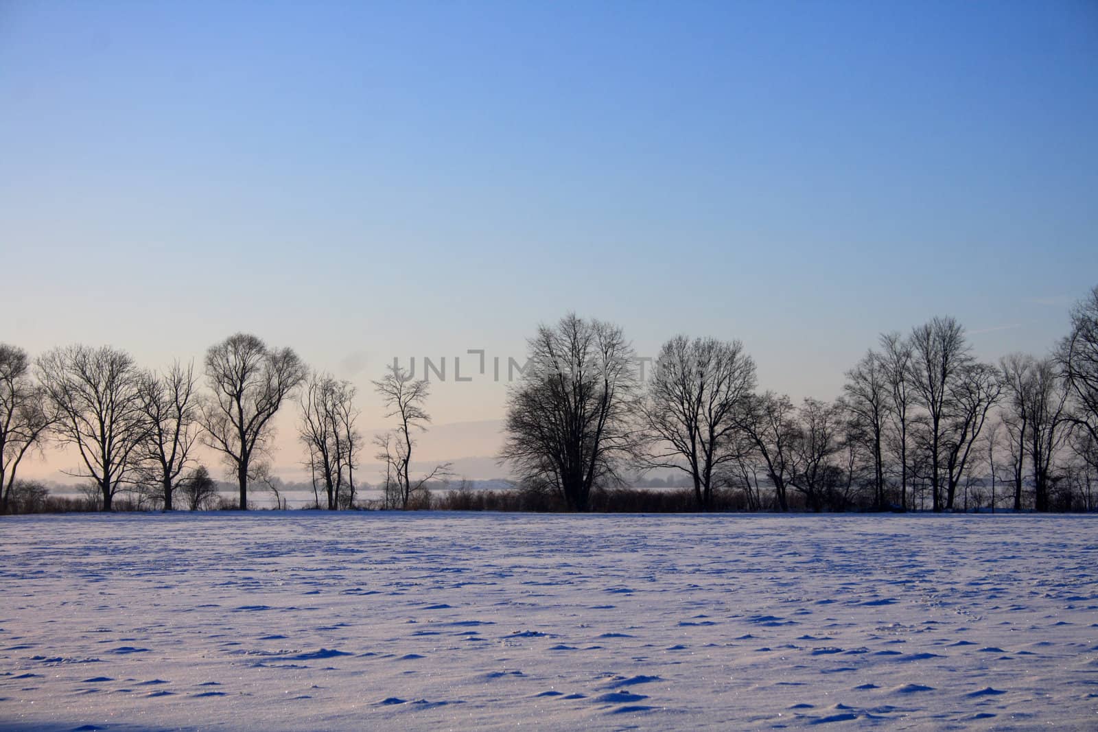 winter country with the treeses from the czech republic