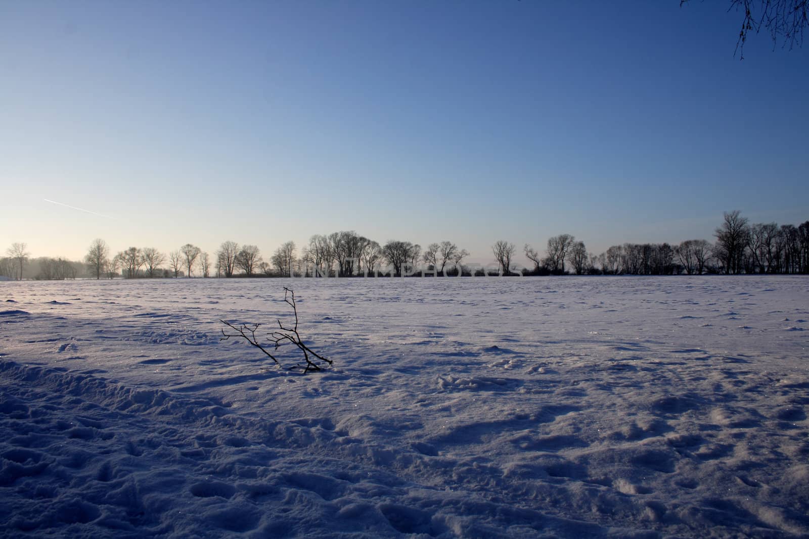 winter country with the treeses from the czech republic