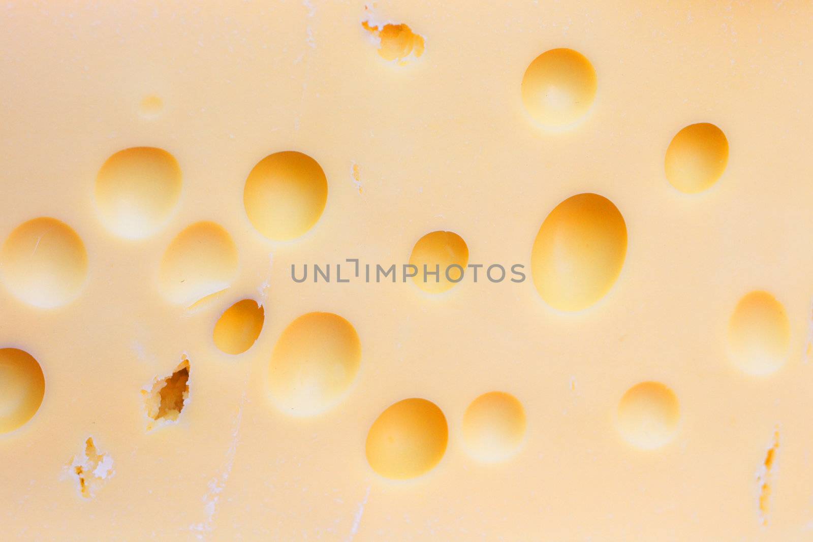 original fresh czech cheese from the farm 