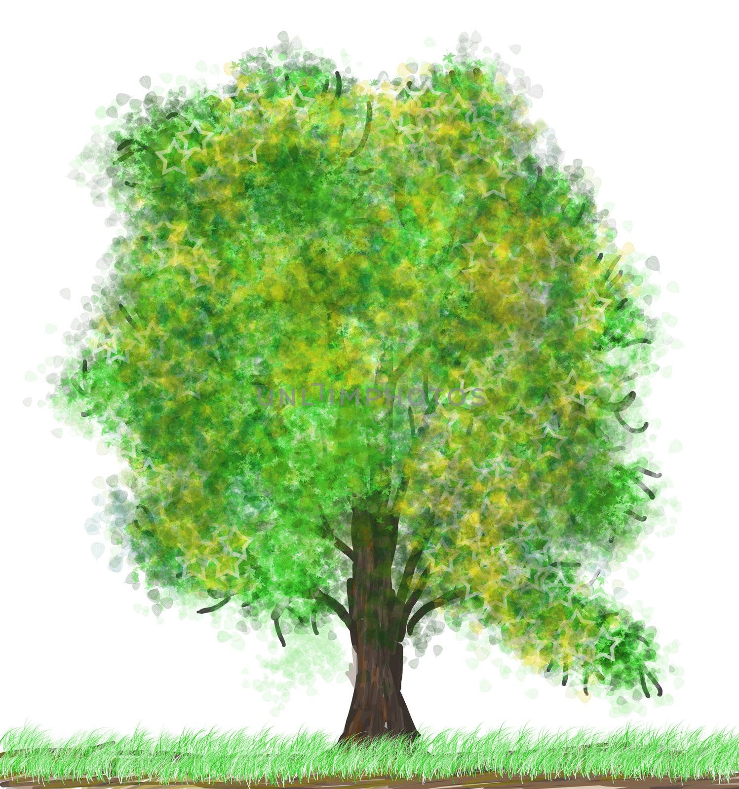 spring tree isolated on the white background