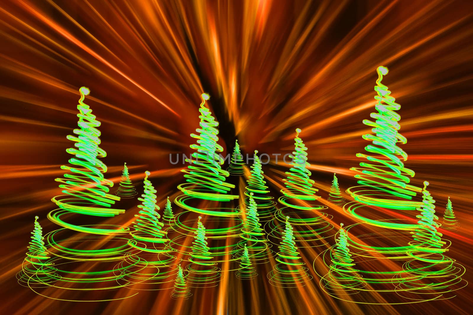 xmas forest (lights) on the black background