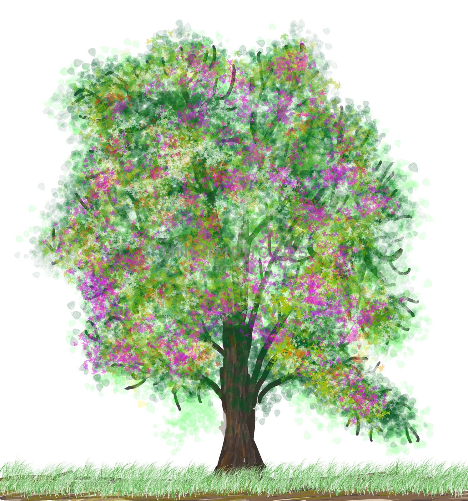 spring tree isolated on the white background