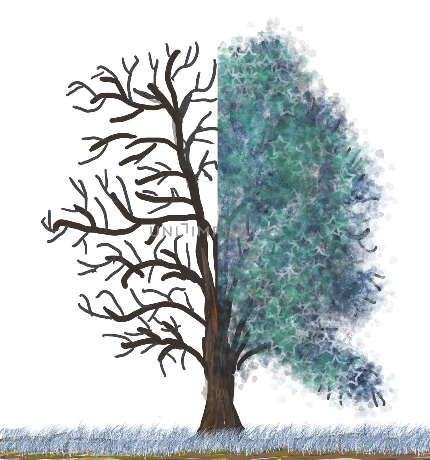 winter tree isolated on the white background