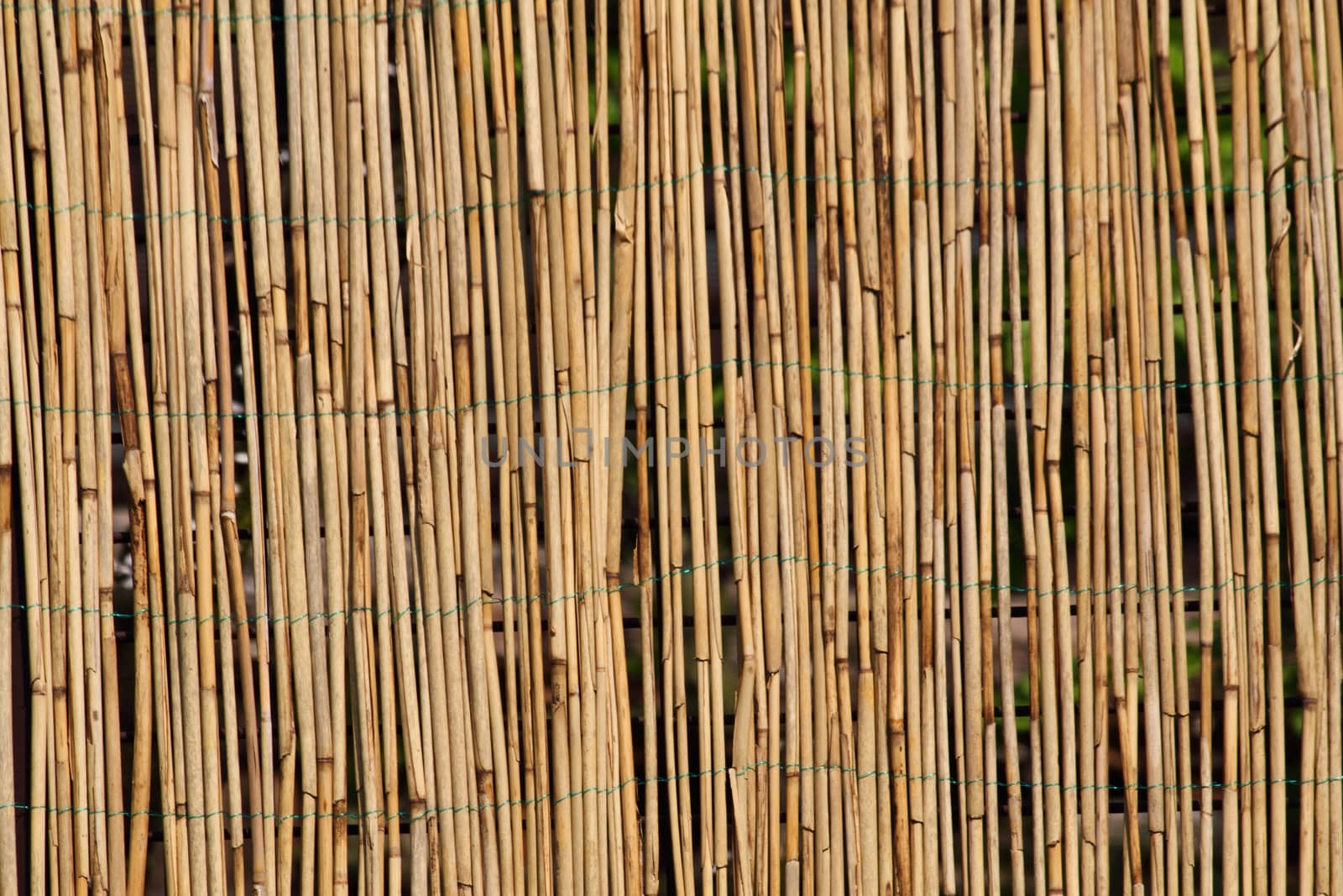 bamboo background as very nice natural texture 