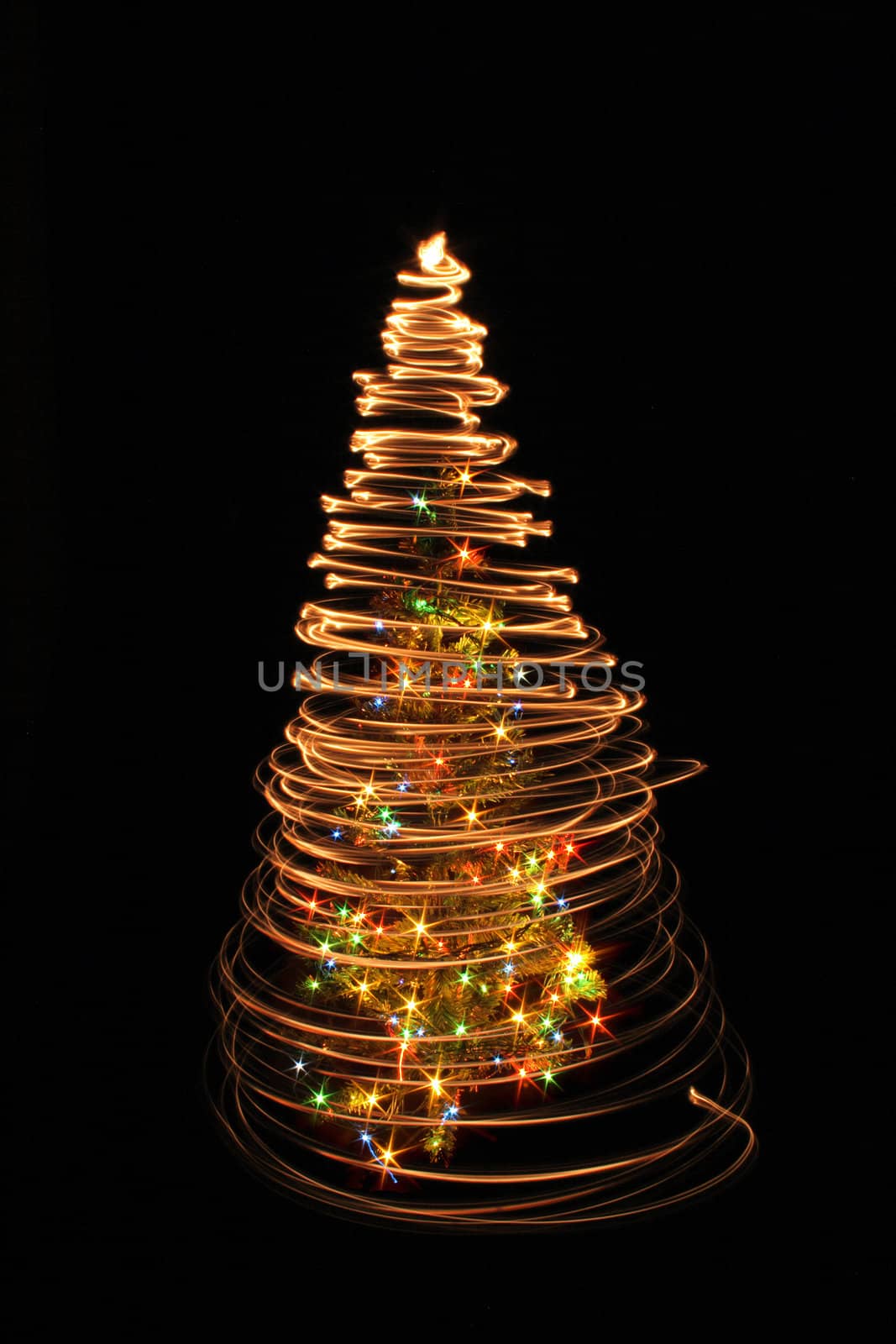 xmas tree isolated on the black background
