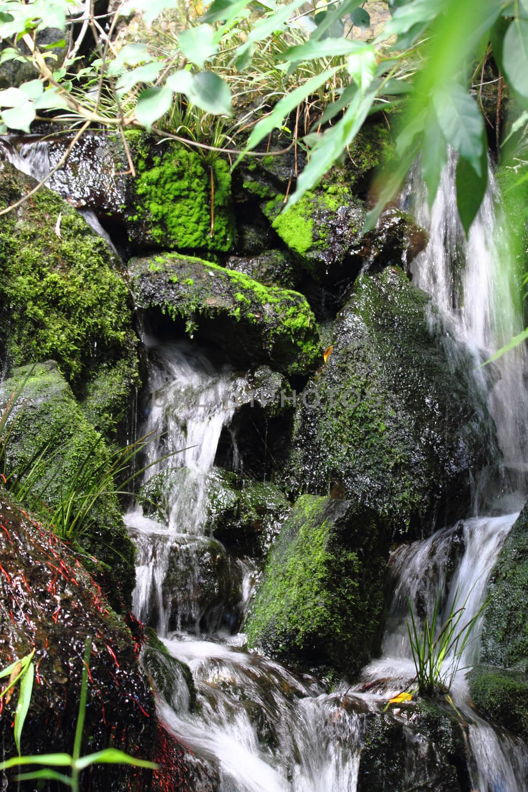 waterfalls in the park as nice natural background