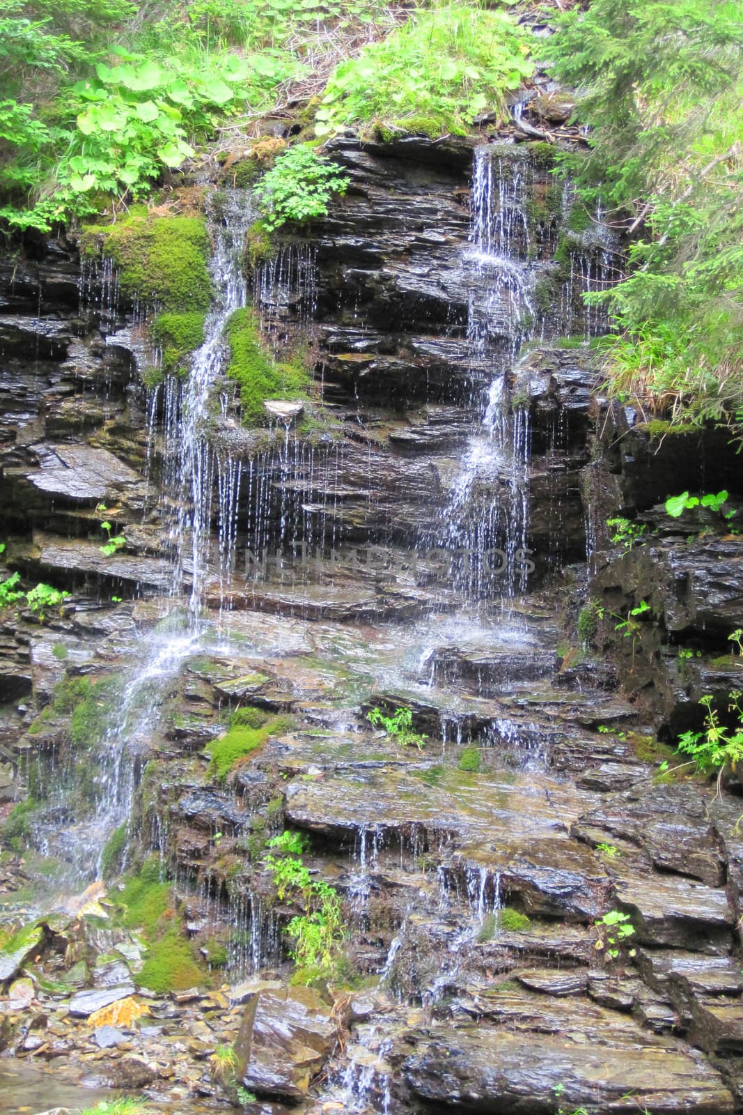 waterfalls from czech republic from the jeseniky mountains