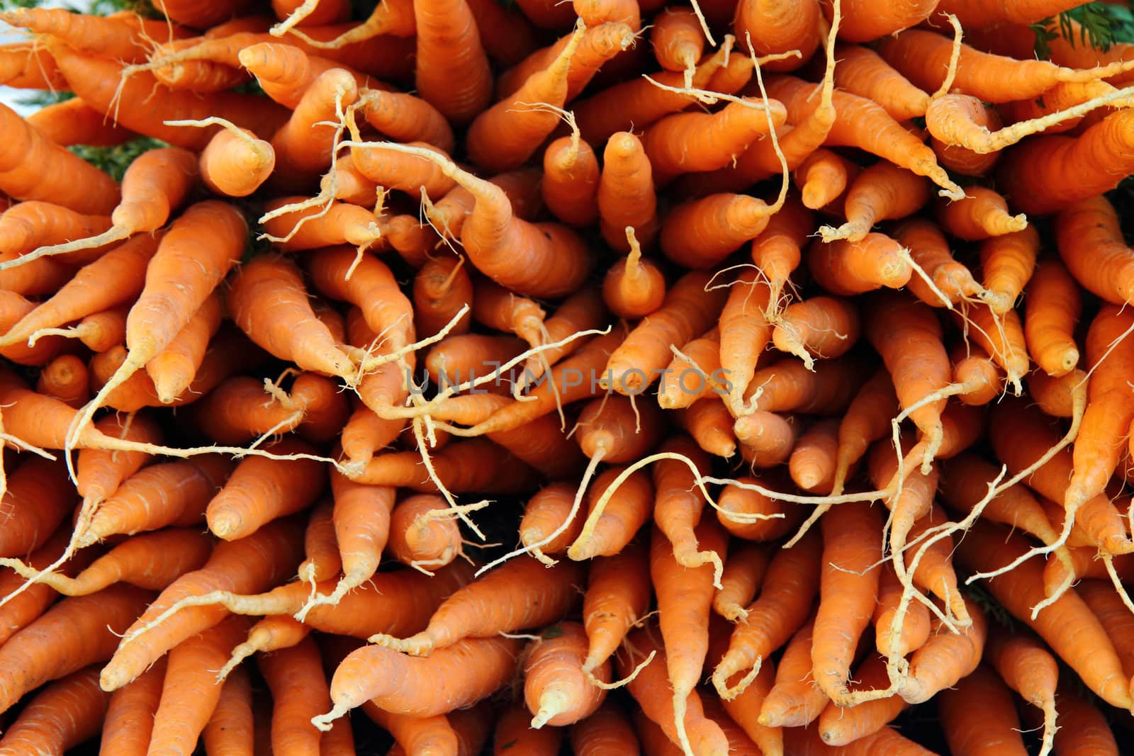 carrots as very nice vegetable background