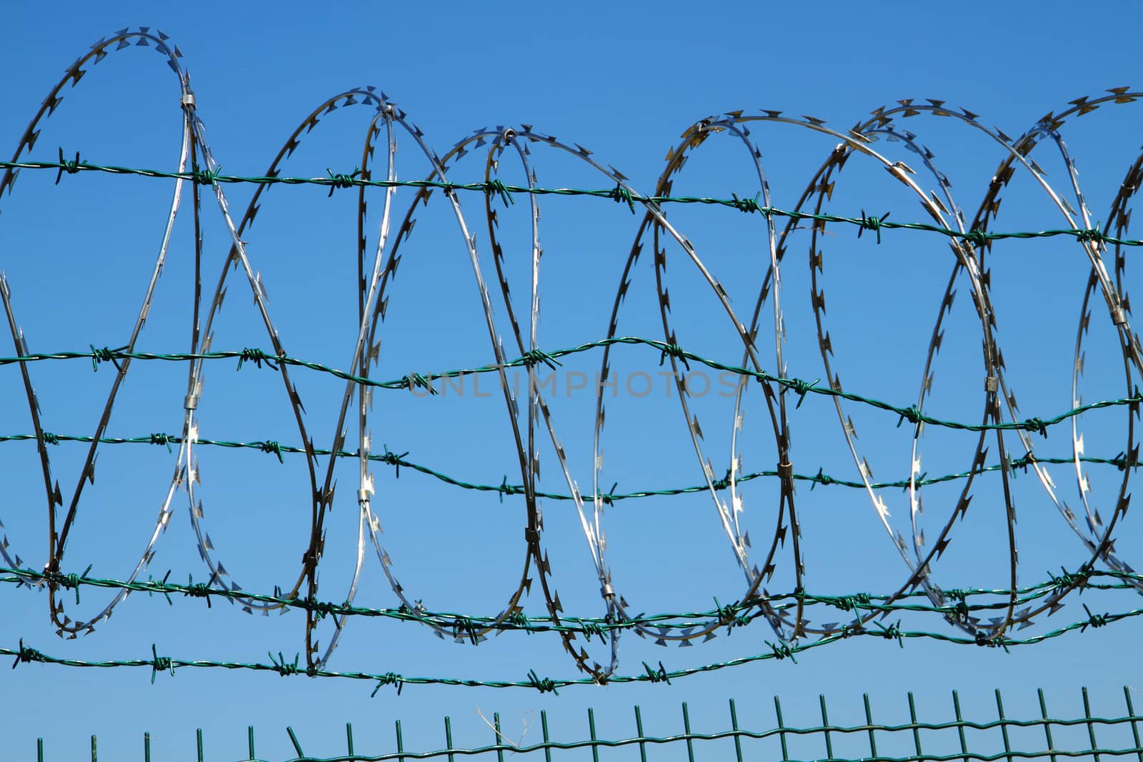 barbed wire against blue sky as war  background