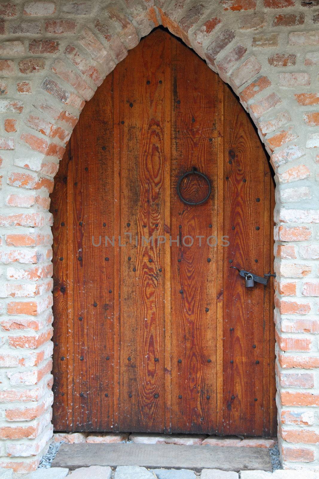 old wooden door as interesting architectural background