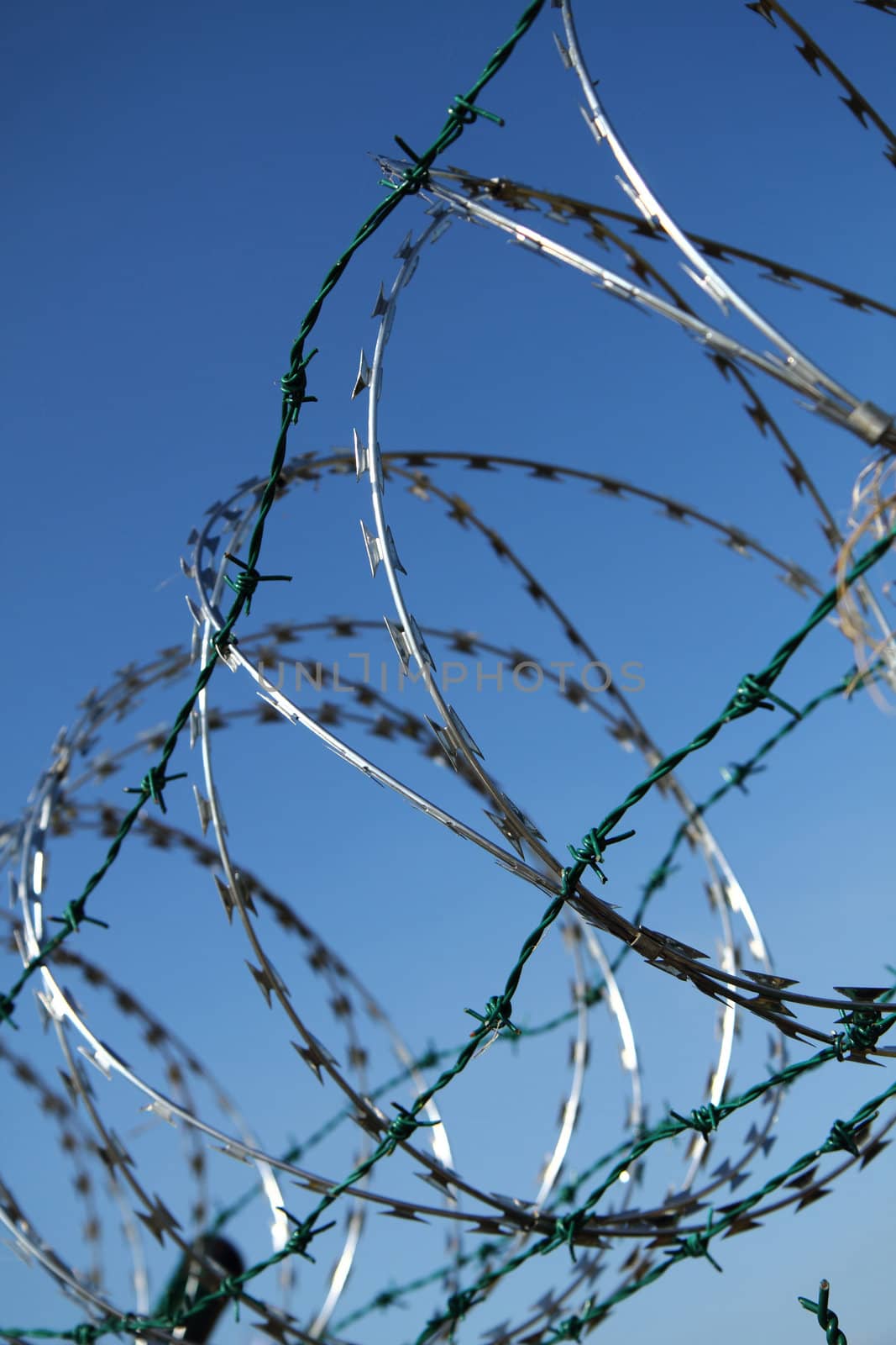 barbed wire against blue sky as war  background