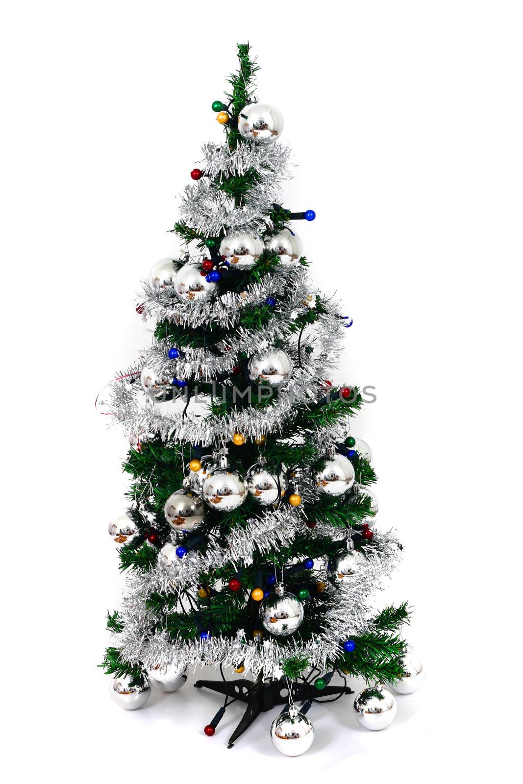 christmas tree isolated on the white background