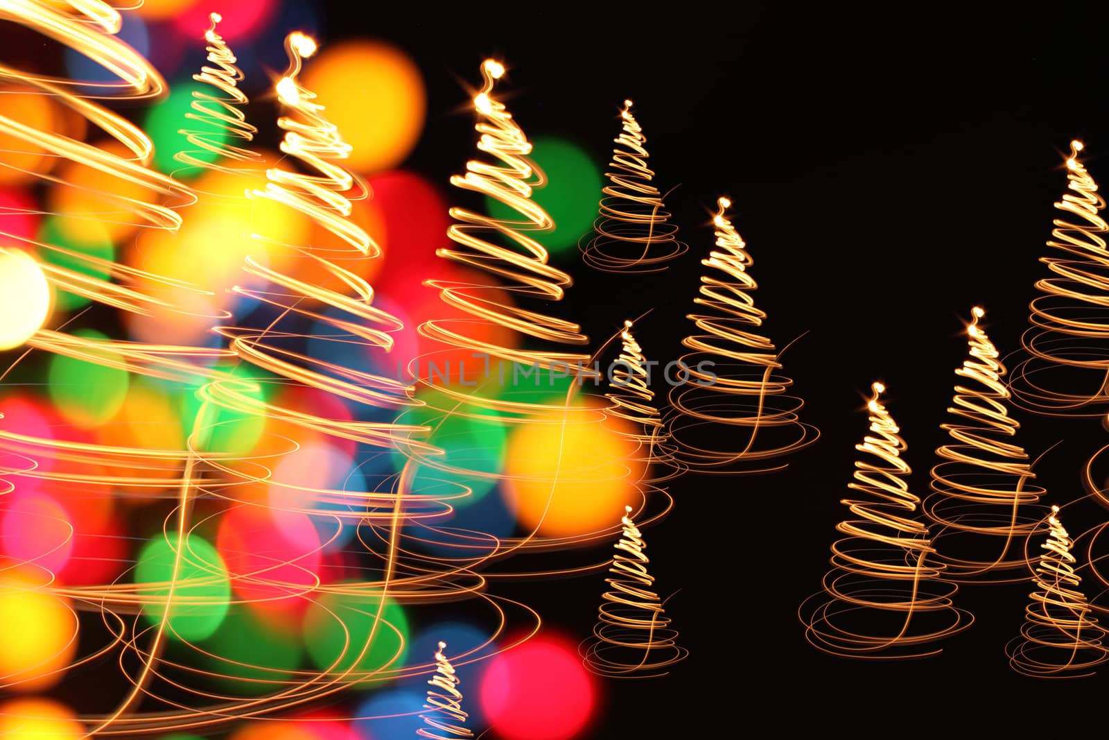 christmas forest as very nice holiday background 