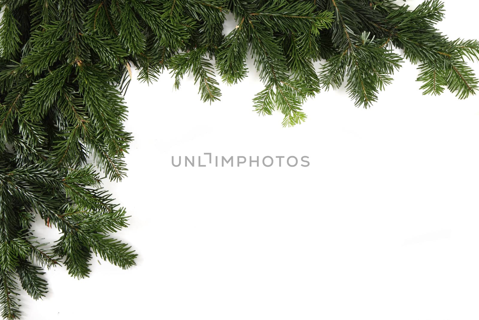 christmas green texture isolated on the white background 