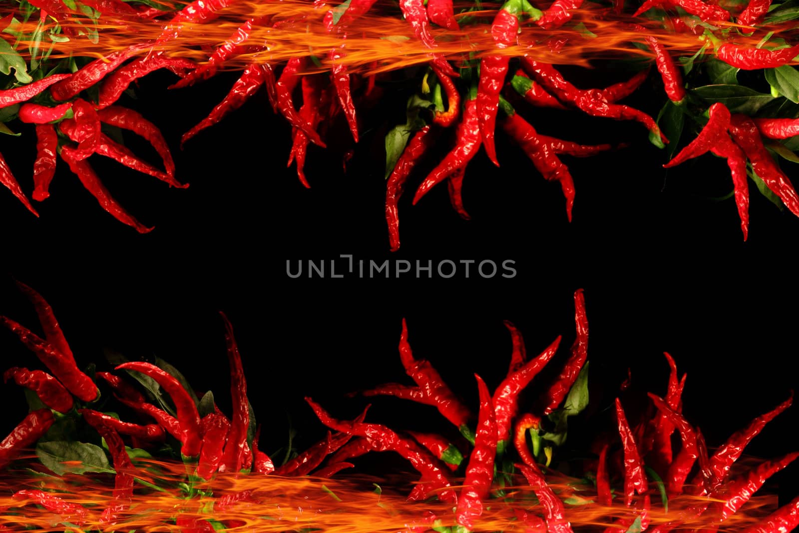 chili isolated on the black background in the dark