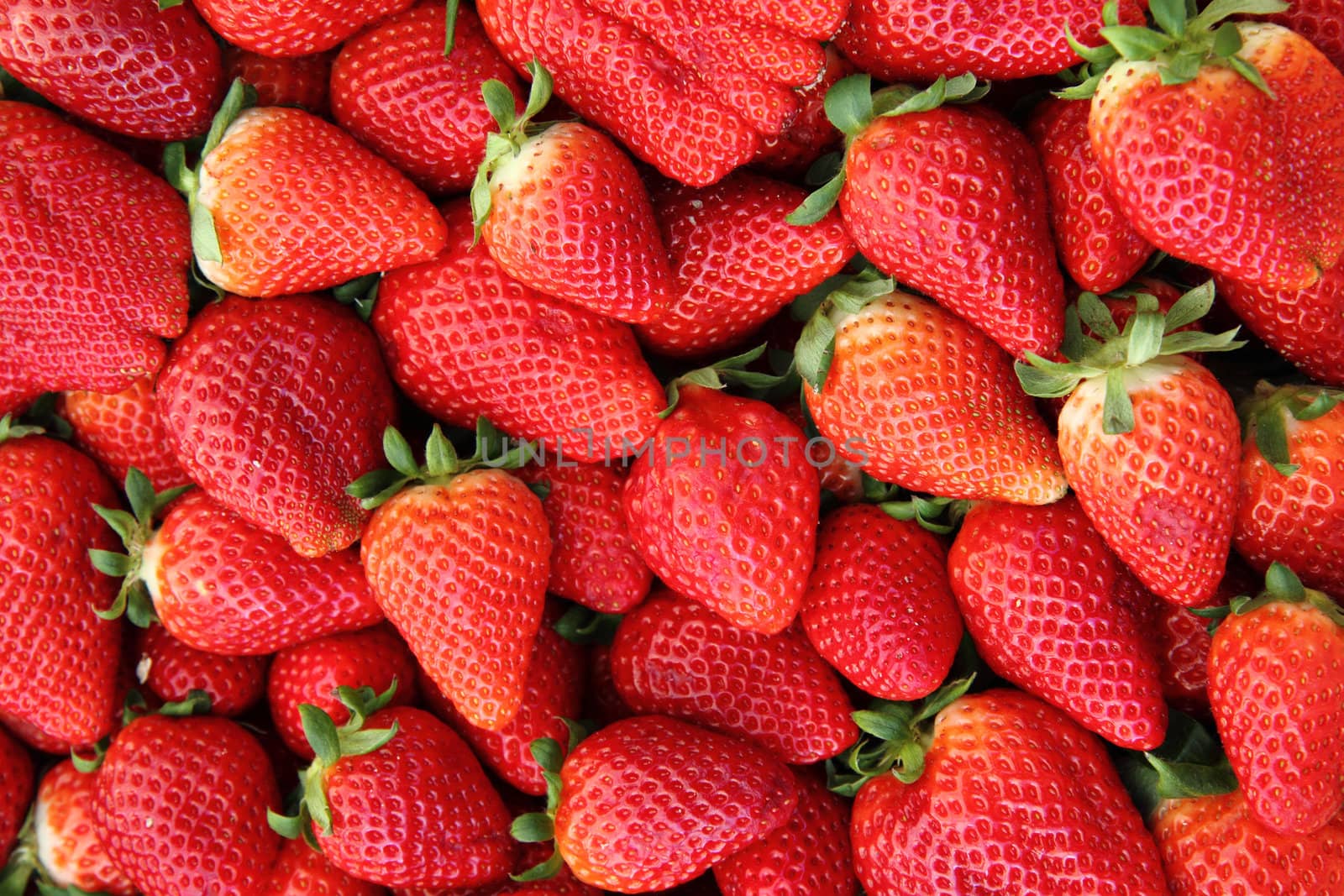 fresh red strawberries as very nice fruit background