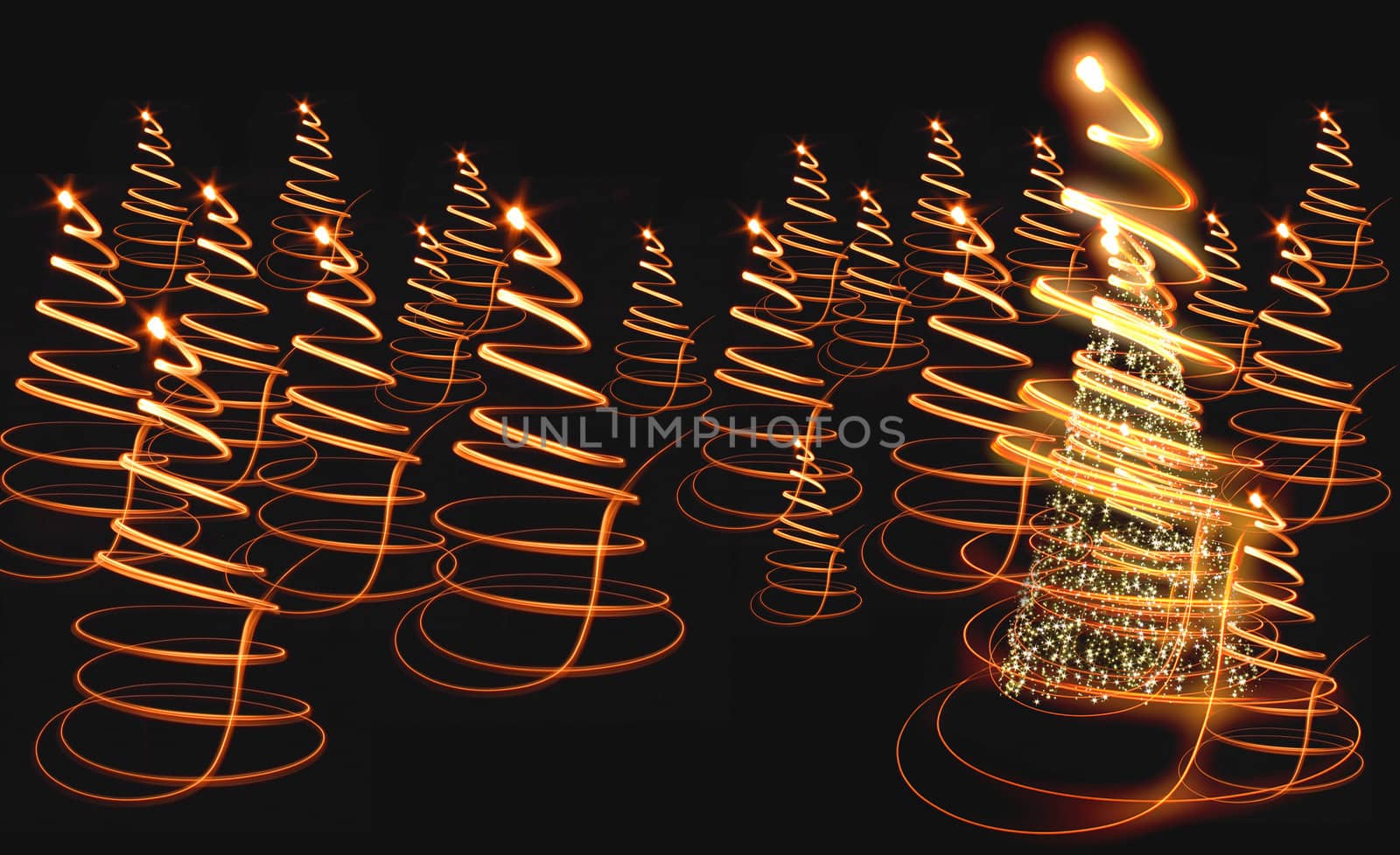 xmas tree (christmas forest) on the black background