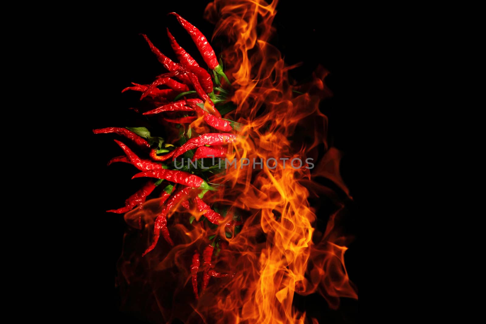 chili isolated on the black background in the dark