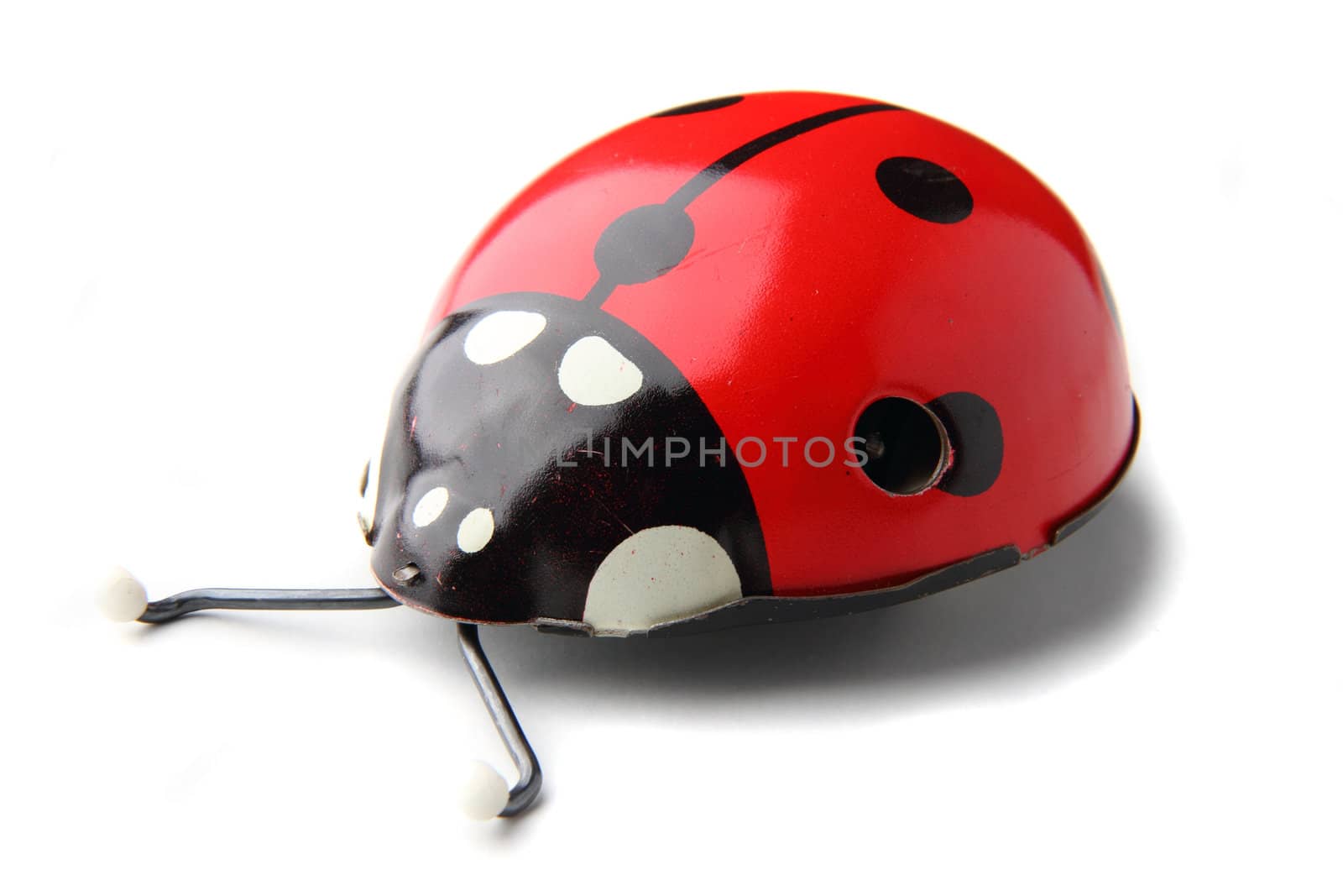 lady bird (old toy) isolated on the white background