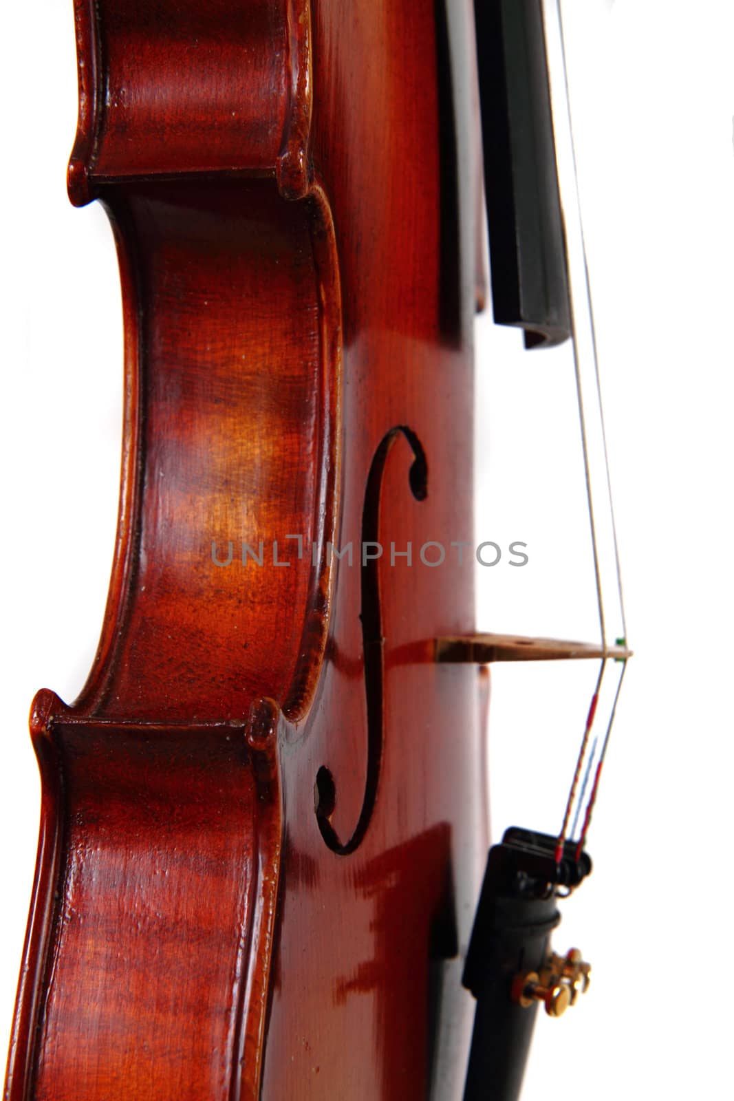 violin details by jonnysek