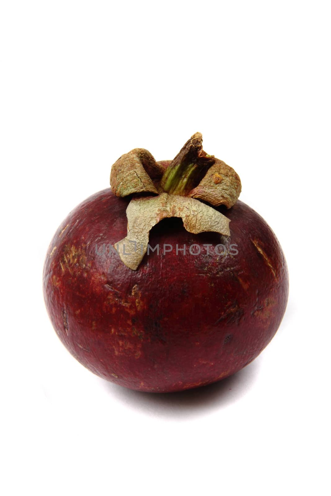 exotic mangostan fruit isolated on the white background